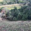 COD 04 DELFIM MOREIRA - Image 9